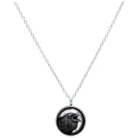 Silberne Kette mit rundem Anhänger und Rabenmotiv auf weißem Hintergrund