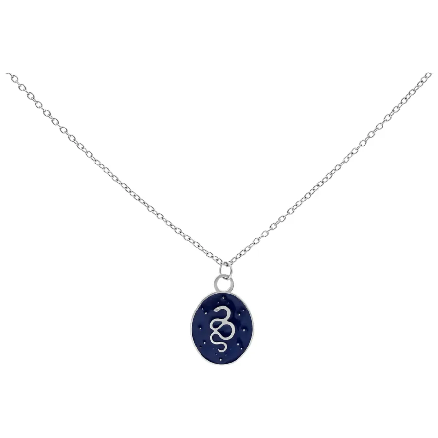 Silberne Kette mit ovalem Anhänger und Schlangenmotiv auf dunkelblauem Hintergrund