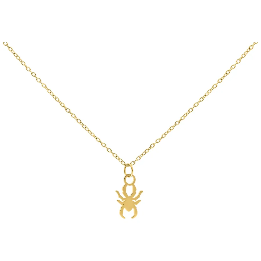 Goldene Kette mit kleinem Spinnenanhänger auf weißem Hintergrund