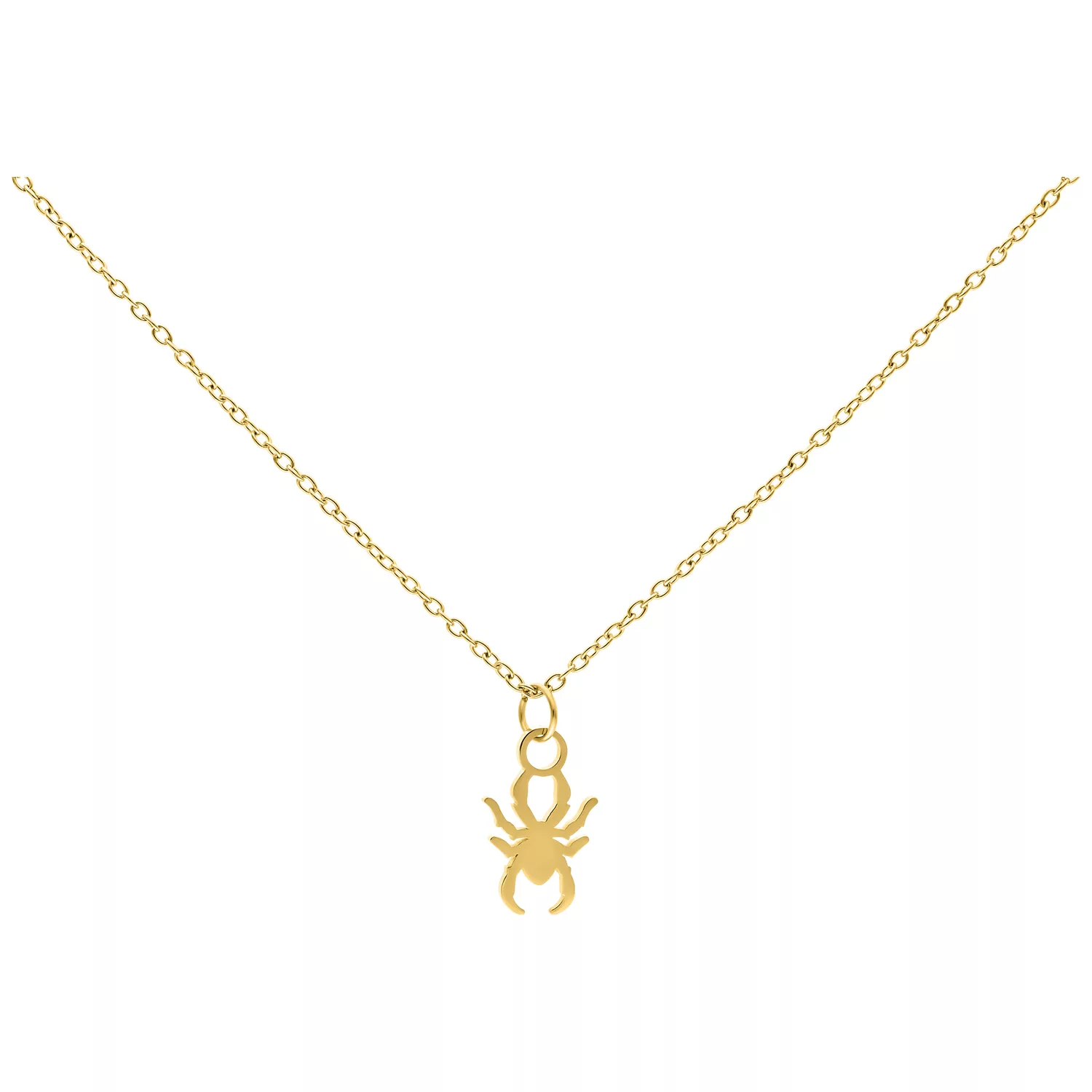 Goldene Little Spider Kette aus Chirurgenstahl Goldene Kette mit kleinem Spinnenanhänger auf weißem Hintergrund