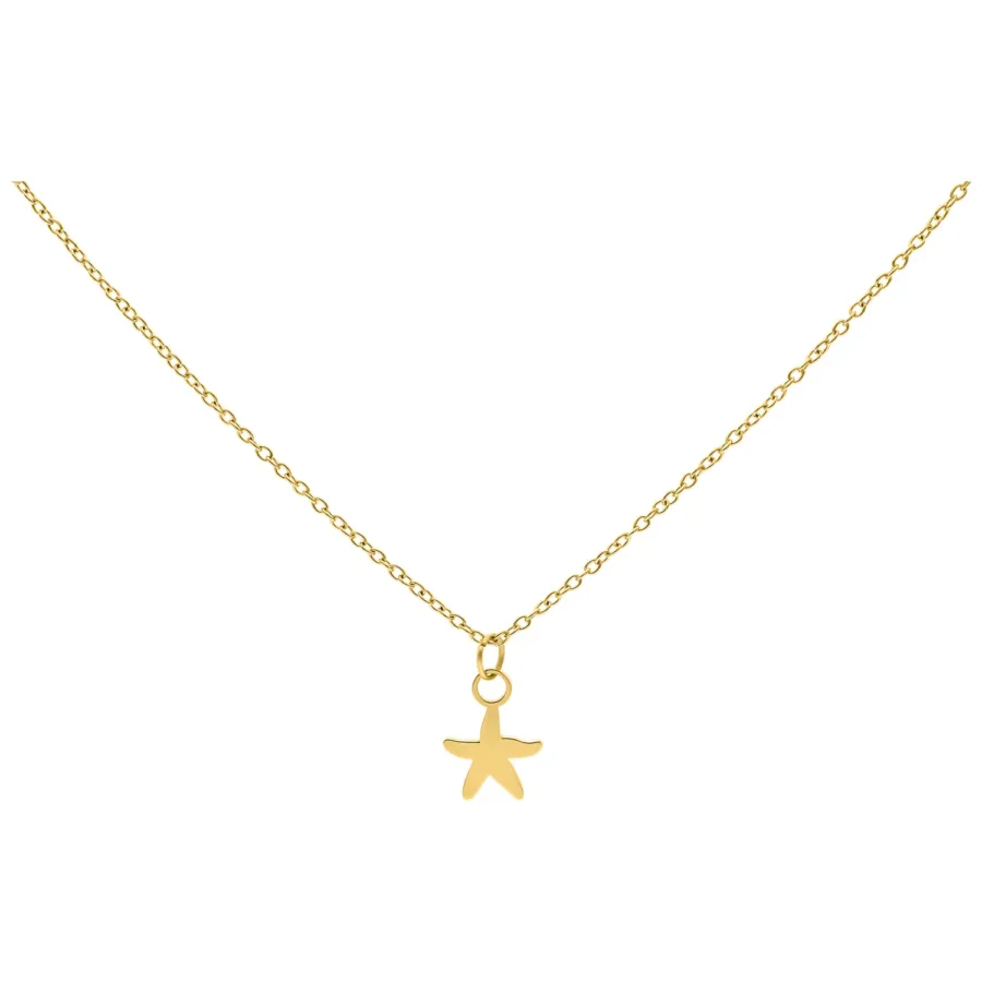 Goldene Kette mit kleinem Seestern-Anhänger, Studiohintergrund