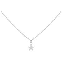 Silberne Little Starfish Kette aus Stahl Silberne Kette mit kleinem Seestern-Anhänger auf weißem Hintergrund