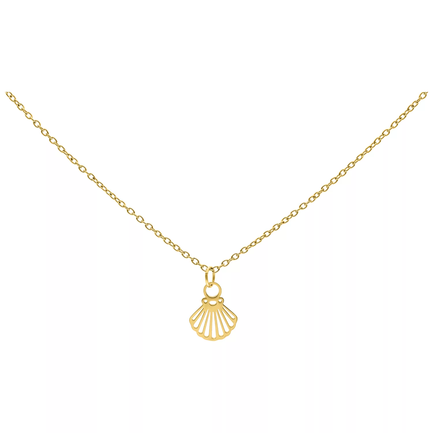 Little Shell Kette in Gold, 50 cm Goldene Halskette mit Muschelanhänger auf weißem Hintergrund