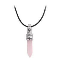 Wildcat Gluttony Kette in Rosa und Silber Rosa Gluttony Kette mit silbernem Anhänger und schwarzem Lederband