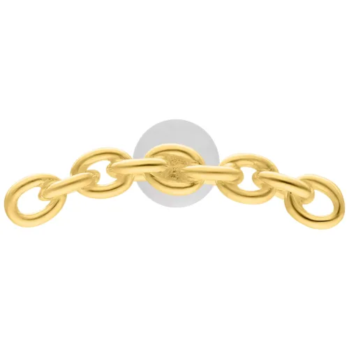 Goldenes Anchorchain Labret mit 5,0 mm Plattengröße auf weißem Hintergrund