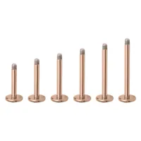 Rosegold Micro Labret aus Titan Sechs rosegoldene Micro Labrets aus Titan auf weißem Hintergrund