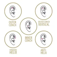 Mini Titan Labret für Triple Helix Piercing Fünf Ohrdiagramme mit Piercing-Positionen in Goldrahmen
