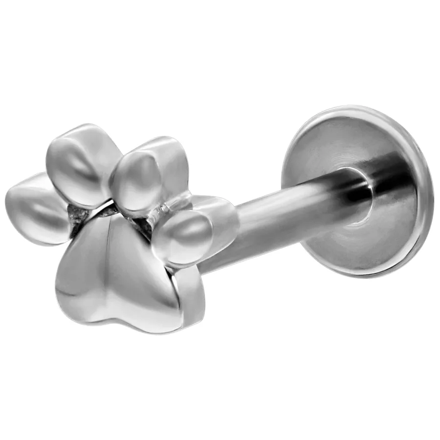 Labret aus Weißgold mit Pfotenmotiv und Push-Fit Verschluss auf weißem Hintergrund