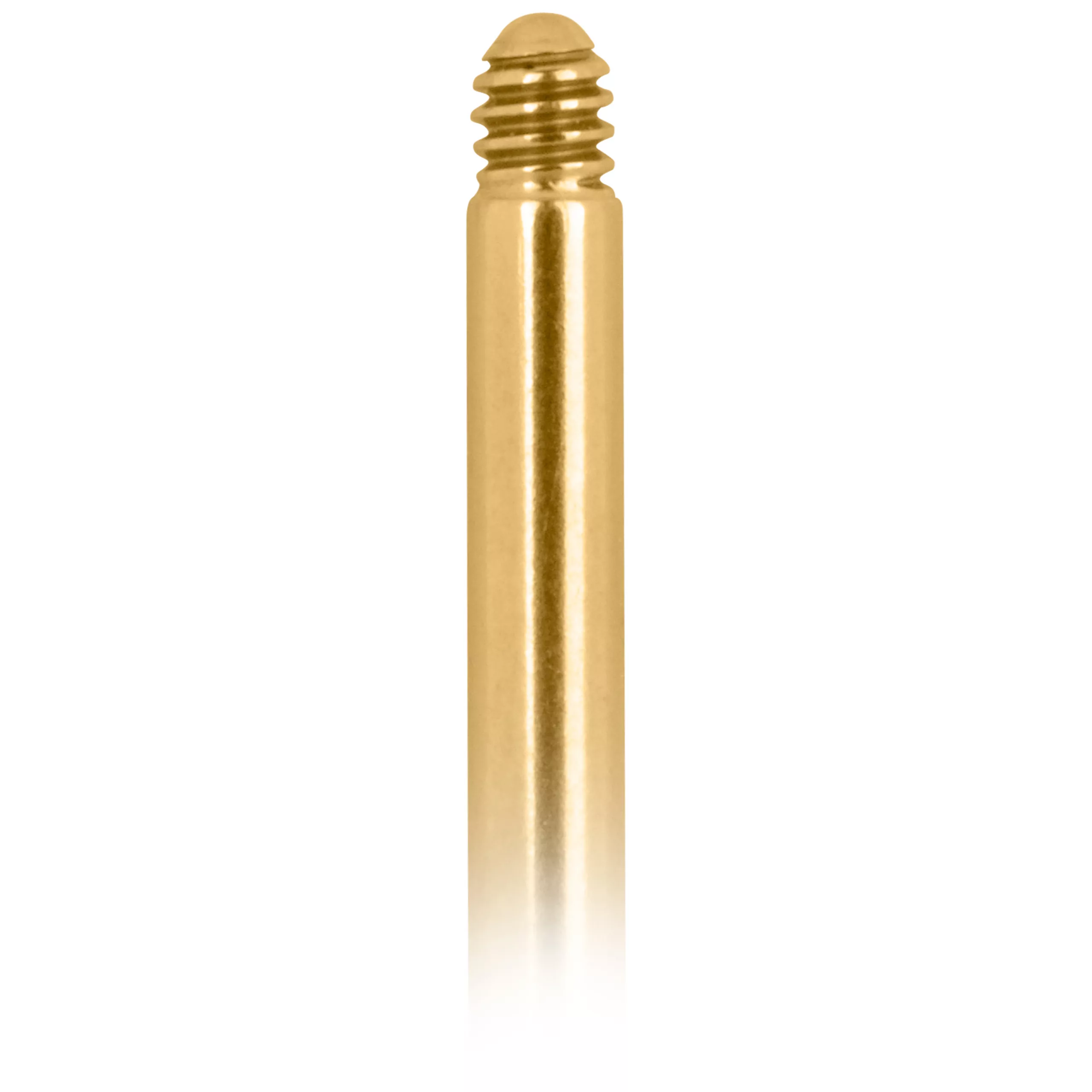 Goldenes Titan Labret mit Außengewinde Goldenes Labret aus Titan mit Außengewinde auf weißem Hintergrund