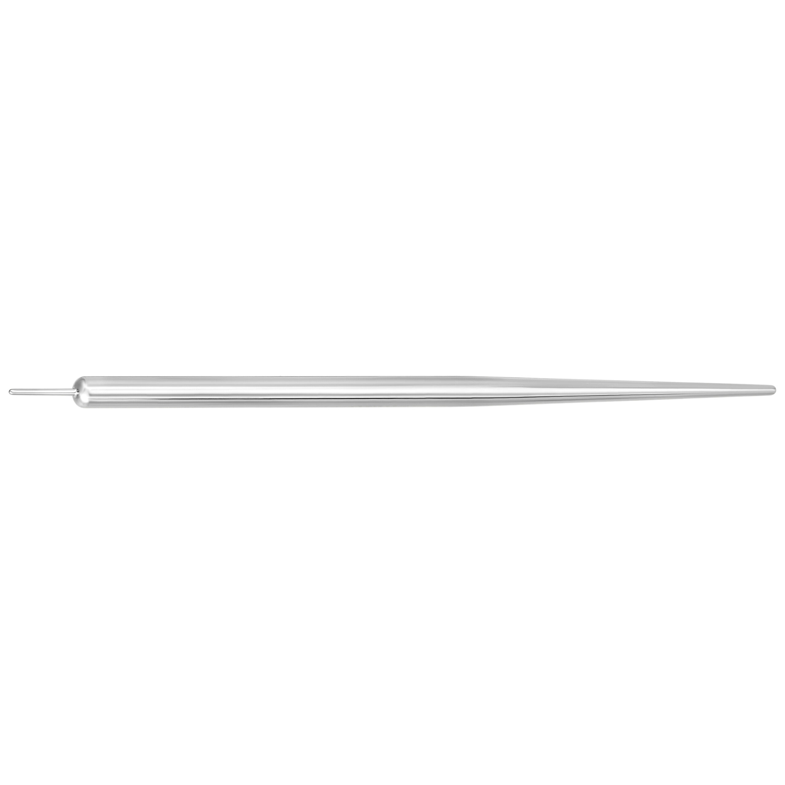 Gerader Einsatzstift 2,0 mm, 50 mm Titan Silberner gerader Einsatzstift aus Titan, 2,0 mm Stärke, 50 mm Länge auf weißem Hintergrund