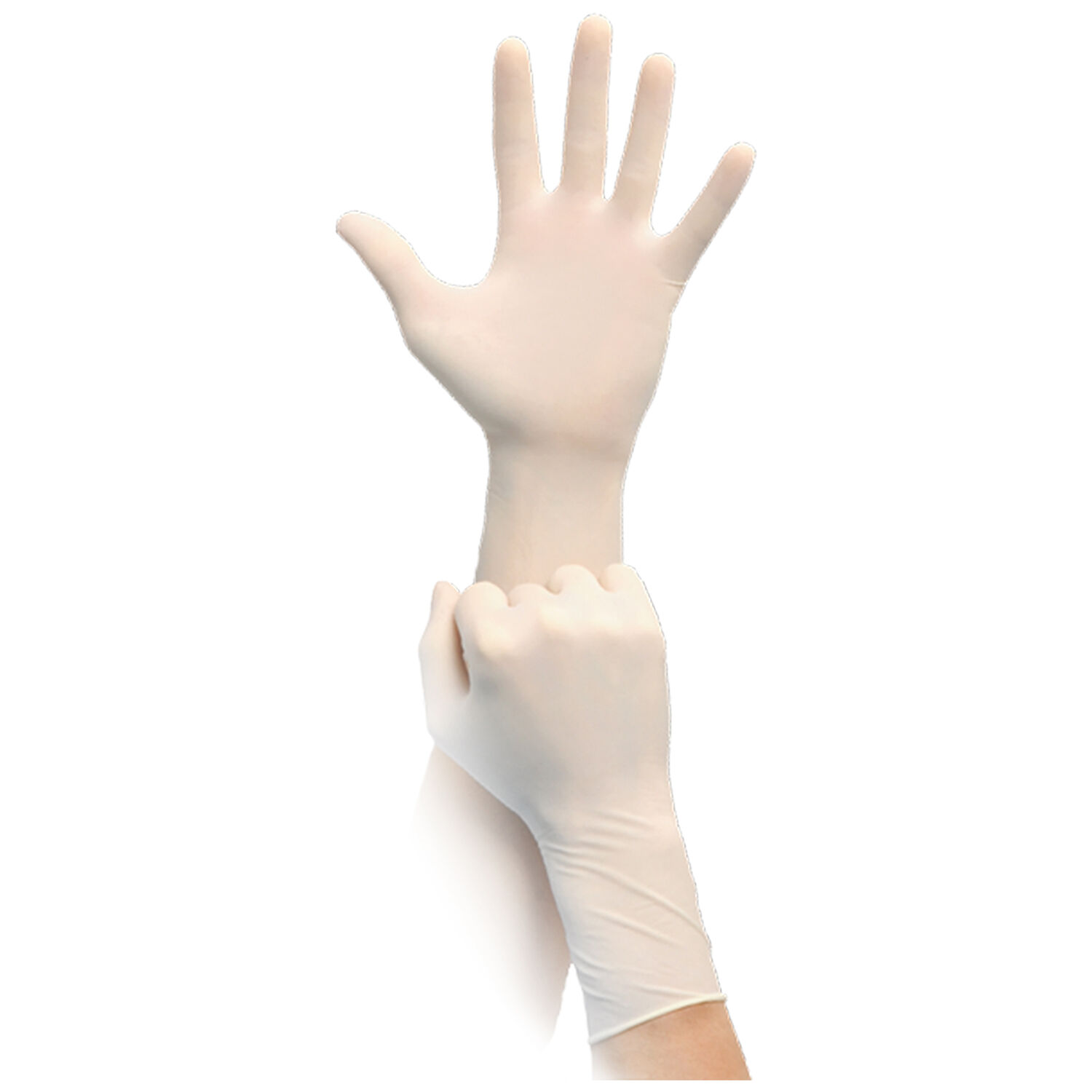 Weiße, puderfreie Latexhandschuhe, Größe 7 Zwei weiße, puderfreie Latexhandschuhe, ein Paar Hände, neutraler Hintergrund