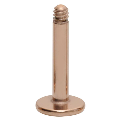 Roségoldenes Labret mit Außengewinde auf weißem Hintergrund