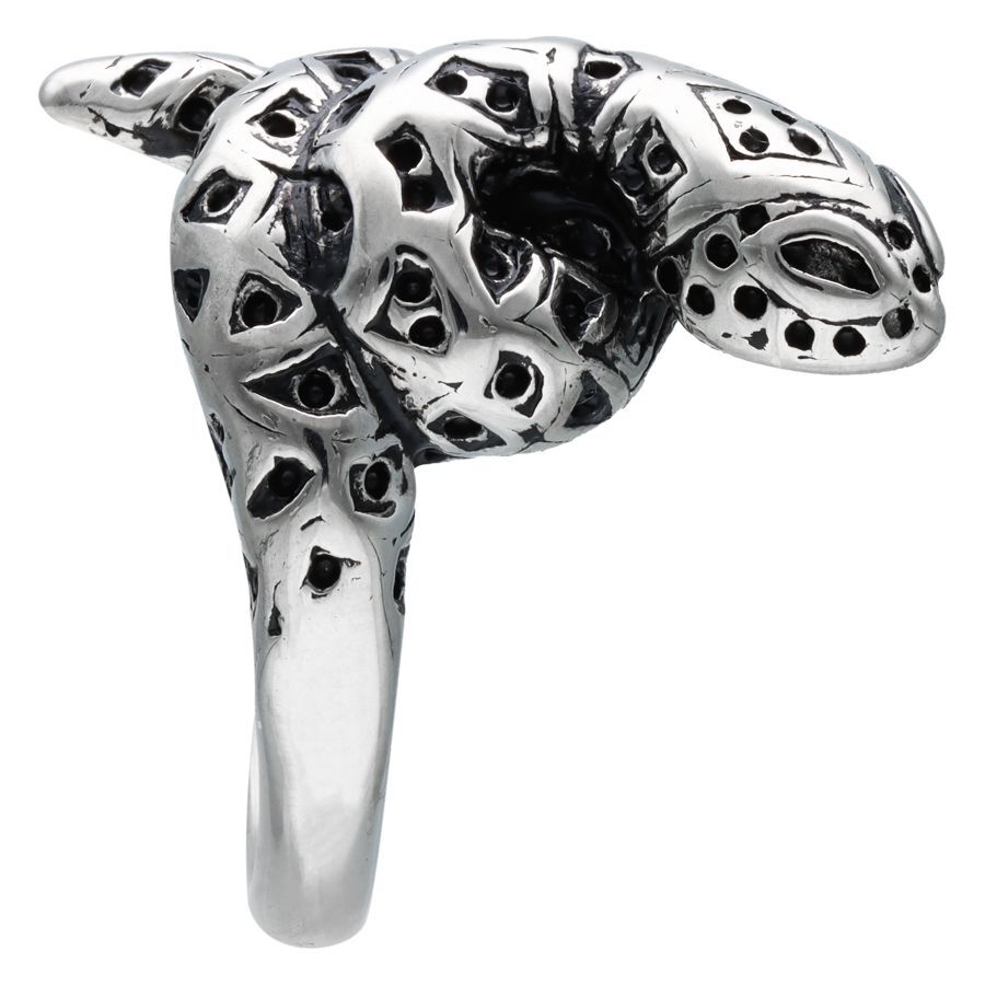 Silberner Schlangenring aus Chirurgenstahl Silberner Schlangenring aus Chirurgenstahl mit detailreichem Design auf weißem Hintergrund