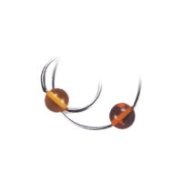 Amber Clip-In Kugeln aus Fossil Zwei amberfarbene Clip-In Kugeln an silbernen Piercingringen auf weißem Hintergrund