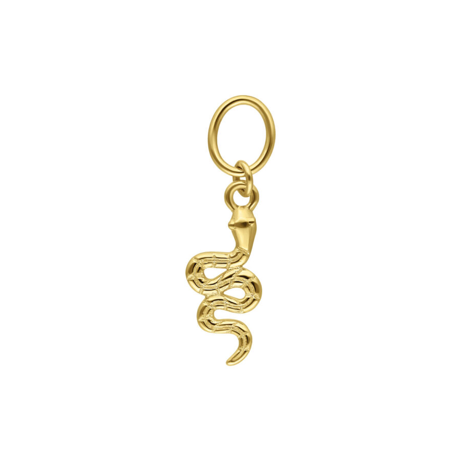Goldener Schlangenanhänger aus 18K Gold mit klaren Kristallen auf weißem Hintergrund