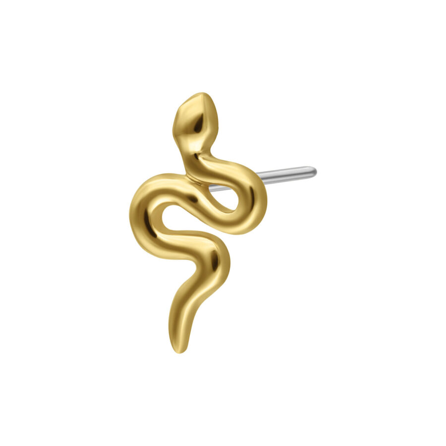 Goldener Schlangenaufsatz aus 14K Gold für Push-Fit Piercings auf weißem Hintergrund