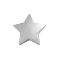Silberner Stern-Aufsatz aus Titan auf weißem Hintergrund