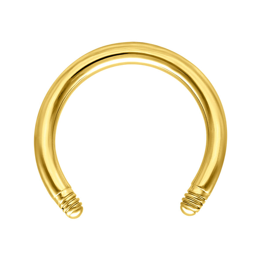 Goldener Titan Circular Barbell 1,6 mm Goldener Titan Circular Barbell mit 1,6 mm Stärke und 8,0 mm Innendurchmesser auf weißem Hintergrund