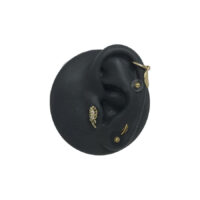 Silikon Disc für Piercing mit goldenen Aufsätzen Schwarzes Silikon-Ohrenmodell mit goldenen Piercing-Aufsätzen auf weißem Hintergrund