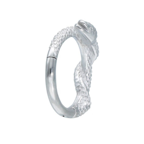 Silberner Piercingring mit Schlangendesign auf weißem Hintergrund