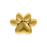 Goldener Pfotenaufsatz für Push Fit Piercing Goldener Pfotenaufsatz aus Titan auf weißem Hintergrund