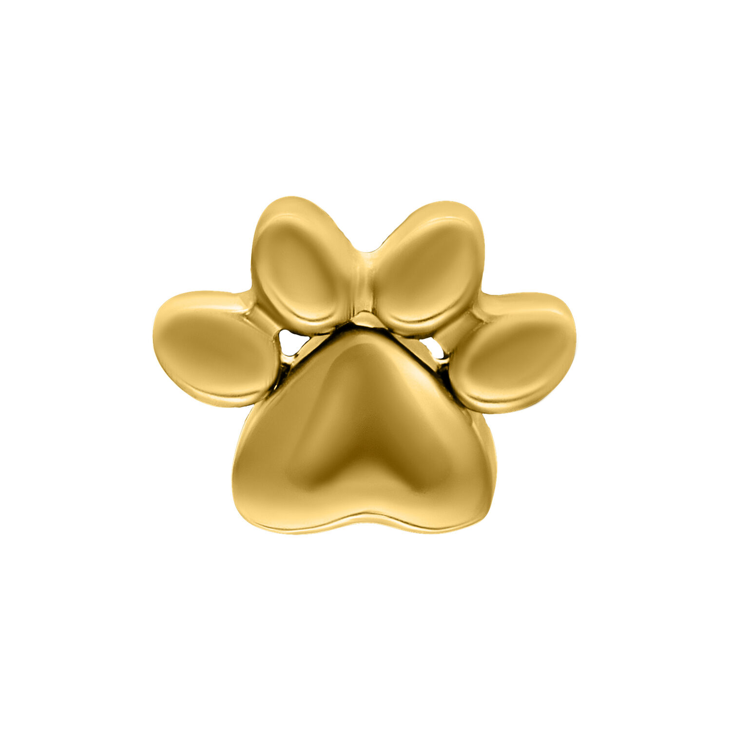 Goldener Pfotenaufsatz für Push Fit Piercing Goldener Pfotenaufsatz aus Titan auf weißem Hintergrund