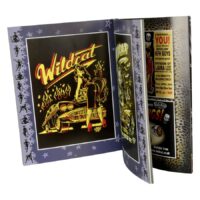 Wildcat Voodoo Action Buch von Vince Ray Offenes Buch mit Wildcat Rock'n'Roll Grafik und Voodoo Design