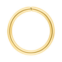 Goldener Continuous Ring aus Chirurgenstahl Goldener nahtloser Ring aus Chirurgenstahl auf weißem Hintergrund