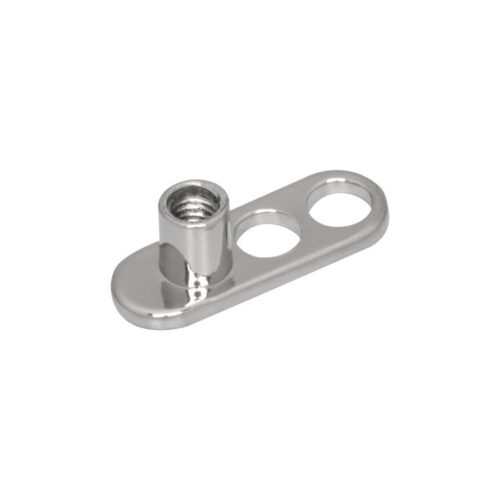 Silberner Titan Dermal Anchor mit 2 Löchern auf weißem Hintergrund