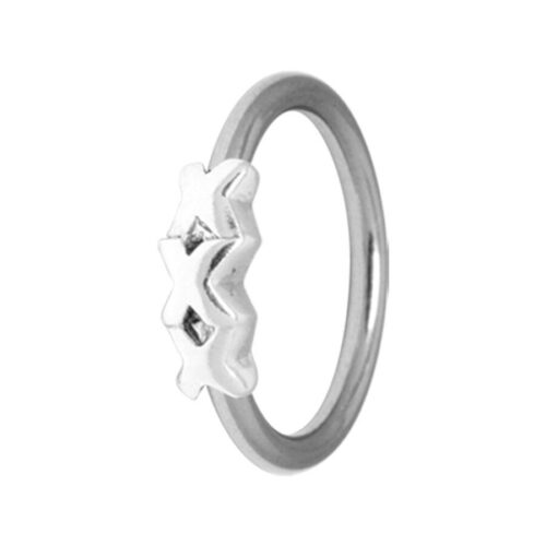 Silberner Triple X Ring aus Chirurgenstahl 316L auf weißem Hintergrund
