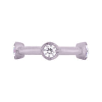 Silberner Hinged Crystal Clicker 1,2 mm Silberner Piercingring mit kristallklaren Steinen, 1,2 mm Stärke