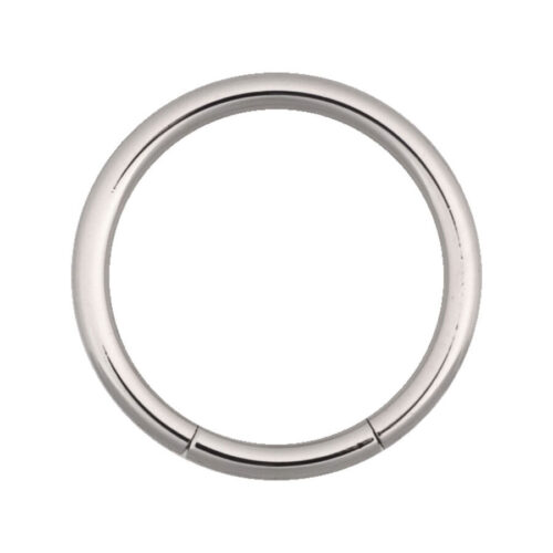 Silberner Segmentring aus Chirurgenstahl, 10mm Durchmesser, 2,4mm Stärke