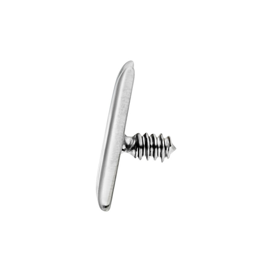 Kleiner Piercing-Aufsatz aus Titan, silber Silberner Titan-Piercing-Aufsatz mit Außengewinde auf weißem Hintergrund