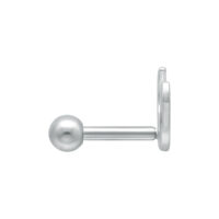 Silberner Earbarbell aus Chirurgenstahl 316L auf weißem Hintergrund