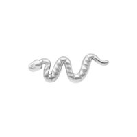 Silberner Push Fit Snake Aufsatz aus Titan Silberner Snake Aufsatz aus Titan auf weißem Hintergrund