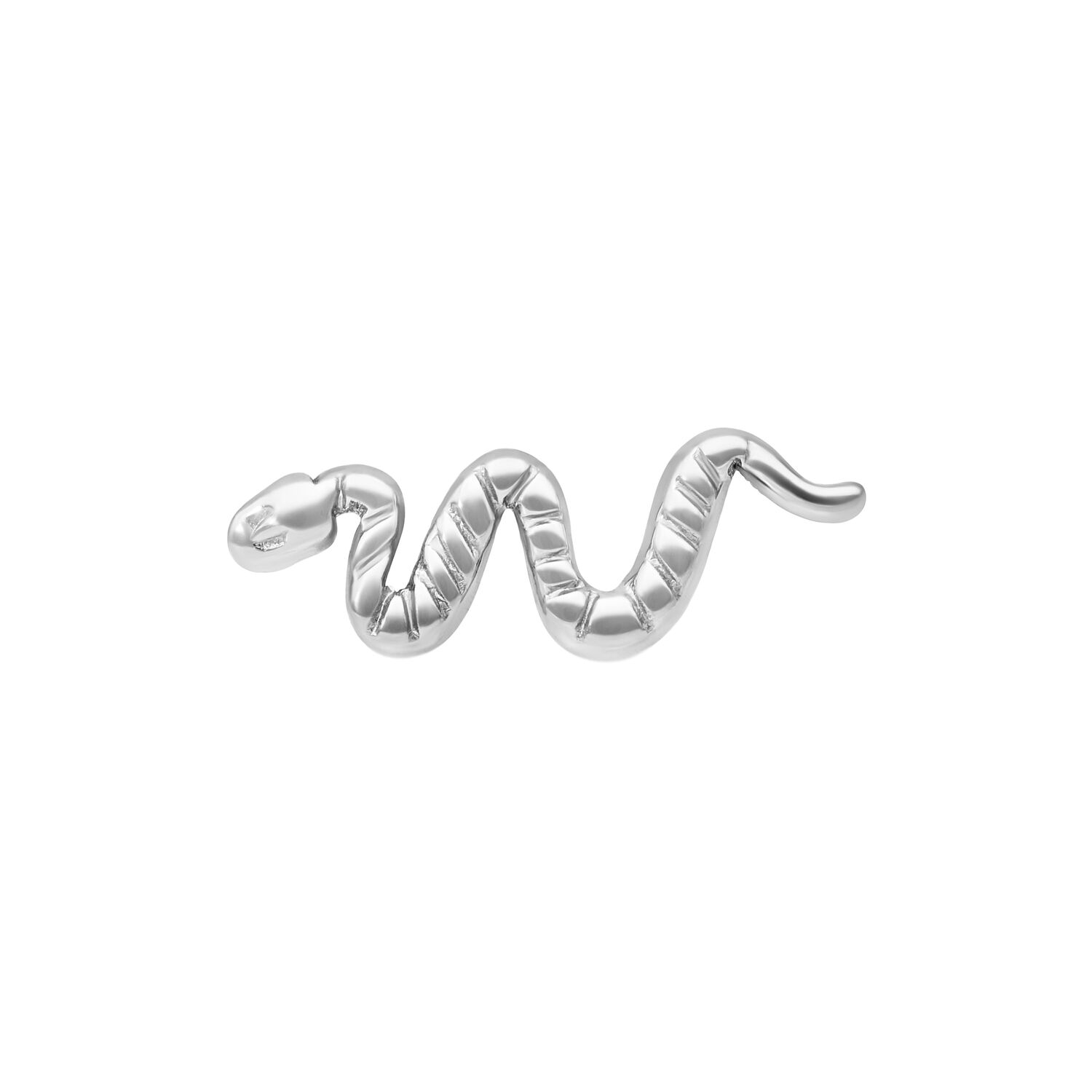 Silberner Push Fit Snake Aufsatz aus Titan Silberner Snake Aufsatz aus Titan auf weißem Hintergrund