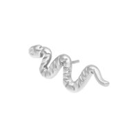 Silberner Push Fit Snake Aufsatz aus Titan Silberner Snake Aufsatz aus Titan Grad 23 auf weißem Hintergrund