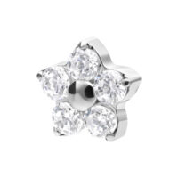 Push Fit Multi Jewelled Blumenaufsatz Silber Silberner Blumenaufsatz mit klaren Kristallen auf weißem Hintergrund