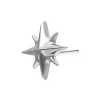 Push Fit Stern Aufsatz aus Titan in Silber Silberner Push Fit Stern Aufsatz aus Titan auf weißem Hintergrund
