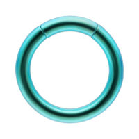 Segmentring Dunkelgrün 1.6 mm Titan Dunkelgrüner Segmentring aus Titan, Stärke 1,6 mm, Innendurchmesser 8,0 mm, auf weißem Hintergrund