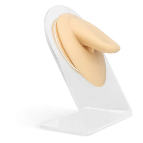 Beige Body Bit Tongue aus Silikon auf klarem Displayhalter