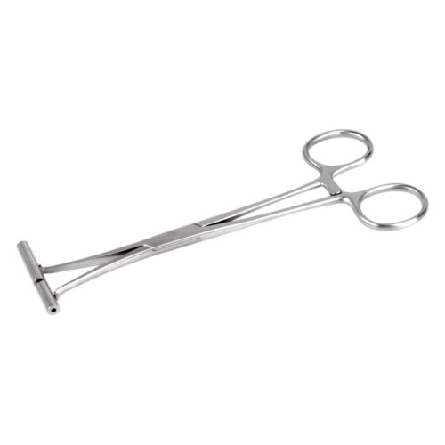 Silberne Septum Zange aus Edelstahl auf weißem Hintergrund