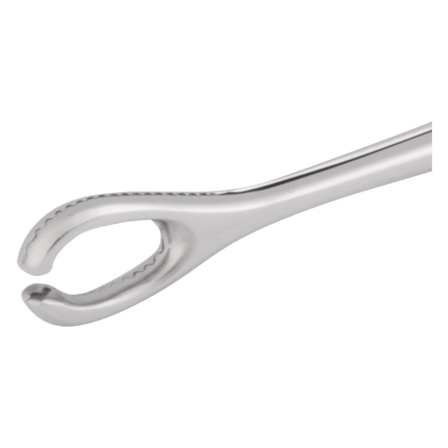 Wildcat Open End Sponge Pinzette 6mm Silberne Open End Sponge Pinzette mit 6mm Innendurchmesser auf weißem Hintergrund