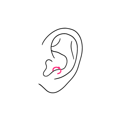 Minimalistische Zeichnung eines Ohrs mit einem rosa Antitragus Piercing