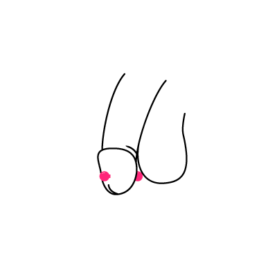 Minimalistische Zeichnung eines Apadravya Piercings auf weißem Hintergrund