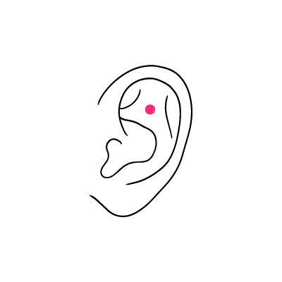 Schlichte Illustration eines Ohrs mit einem rosa Punkt für Piercing auf weißem Hintergrund