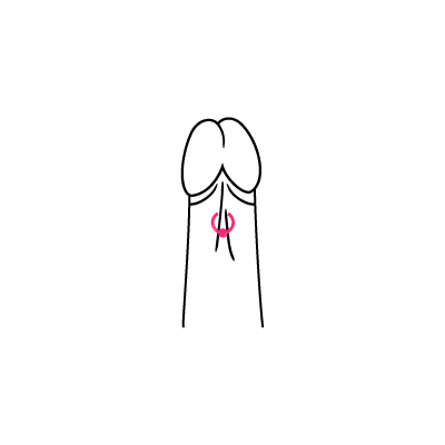 Schwarz-weiße Illustration eines Frenum-Piercings auf weißem Hintergrund
