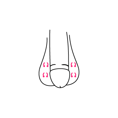 Skizze eines Hafada-Piercings mit rosa Markierungen auf weißem Hintergrund
