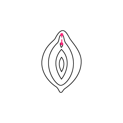 Diagramm eines Intimpiercings auf weißem Hintergrund