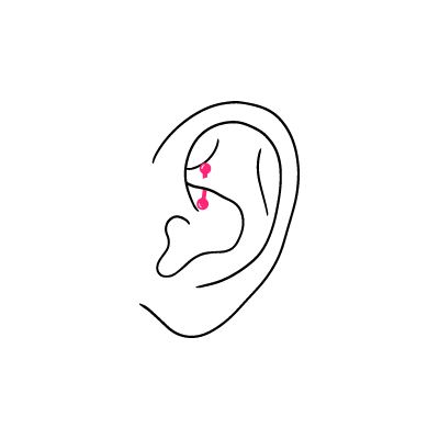 Linienzeichnung eines Ohres mit einem Rook Piercing, pinker Schmuck, weißer Hintergrund
